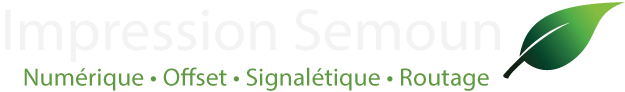 Logo long Villeurbanne